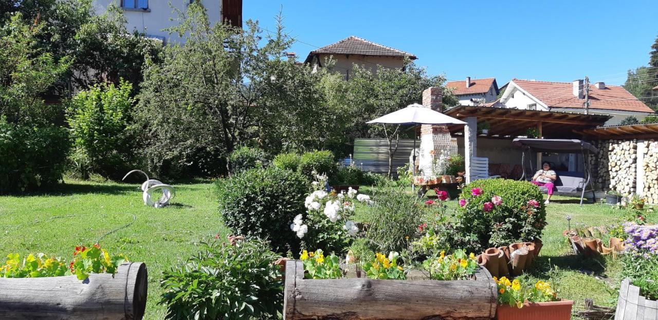 Family Hotel Ecorelax Madzsare Kültér fotó