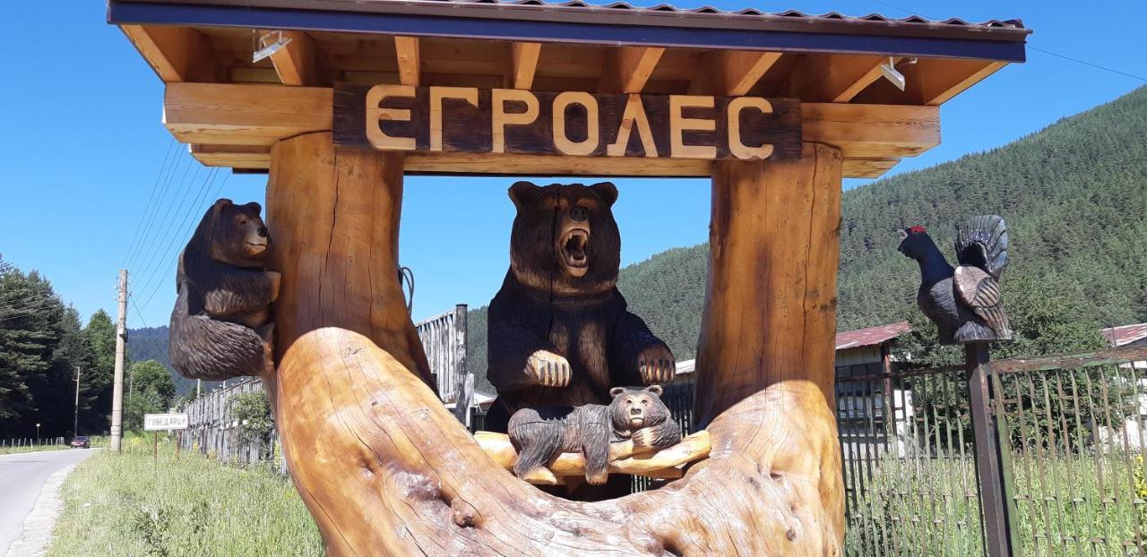 Family Hotel Ecorelax Madzsare Kültér fotó